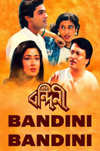 Movie poster for Bandini (1989)