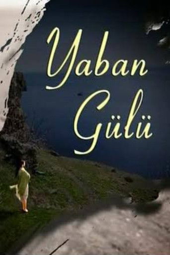 Yaban Gülü poster