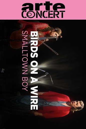 Movie poster for Birds On A Wire @ Louvre Museum (2024)