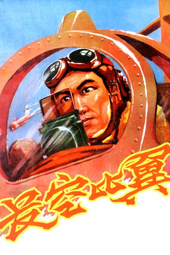 Flying in the Sky poster