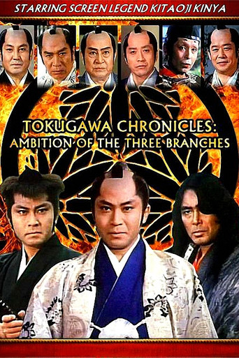 Tokugawa Chronicles: Ambition of the 3 Branches poster