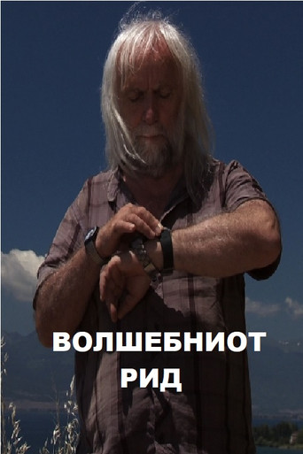 Movie poster for The Magic Hill (2009)