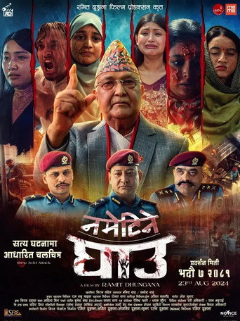 Movie poster for Nametine Ghau (2024)
