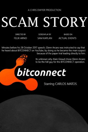 Movie poster for Scam Story (2018)