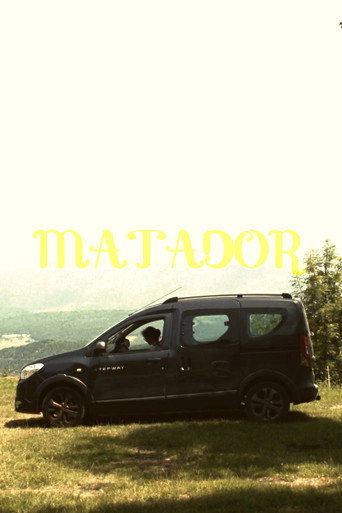 Movie poster for Matador (2025)