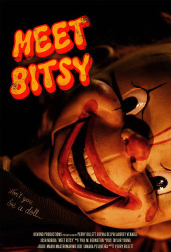 Movie poster for Meet Bitsy