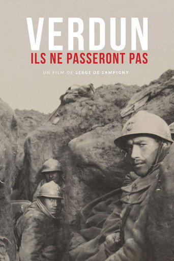 Movie poster for Verdun - They will not pass! (2016)