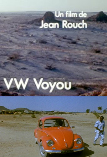 Movie poster for VW-Voyou (1973)