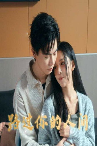 路过你的人间 poster