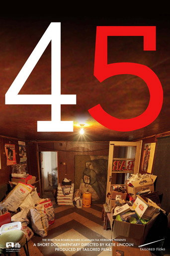 Movie poster for 45 (2015)