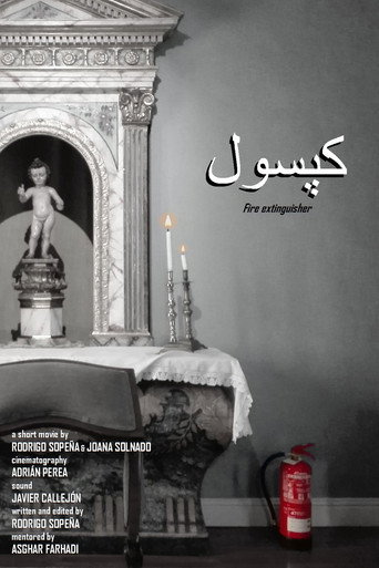 Fire Extinguisher poster