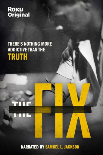 The Fix poster