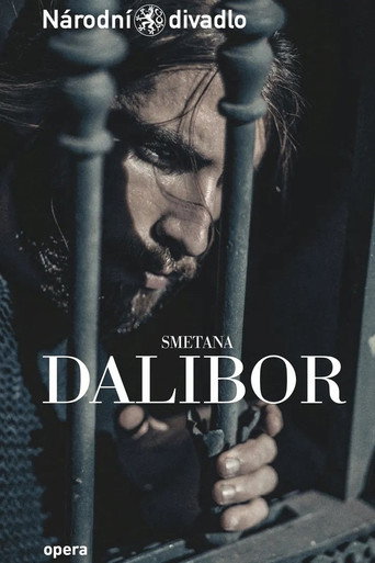 Movie poster for Dalibor (2022)