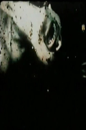 Movie poster for Love Reinvented (1979)