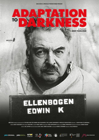 Movie poster for Adaptation to Darkness