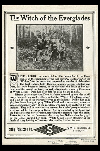 Movie poster for The Witch of the Everglades (1911)