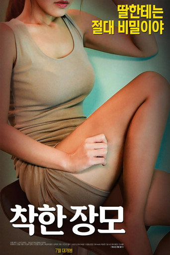 Movie poster for Nice Mother-in-law (2017)