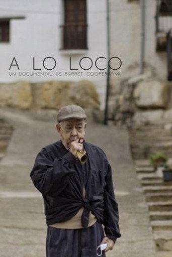 Movie poster for A lo loco
