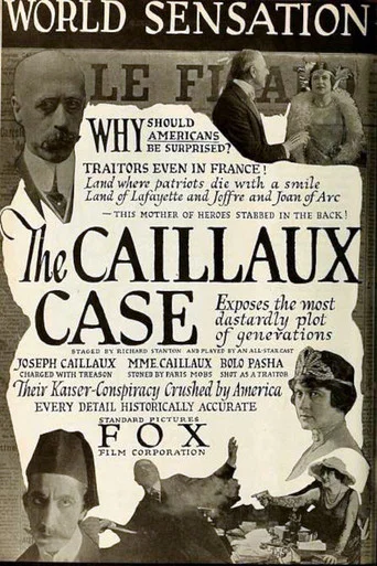 Movie poster for The Caillaux Case (1918)