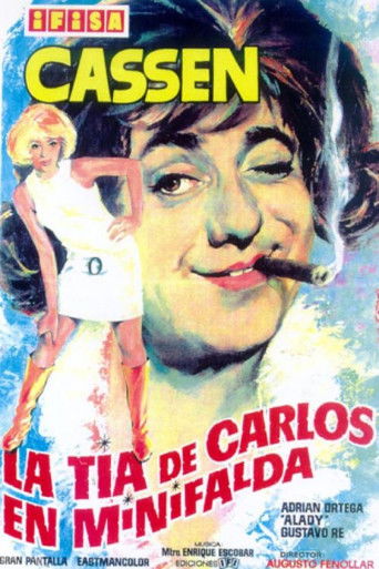 Carlo's Aunt in a Miniskirt poster