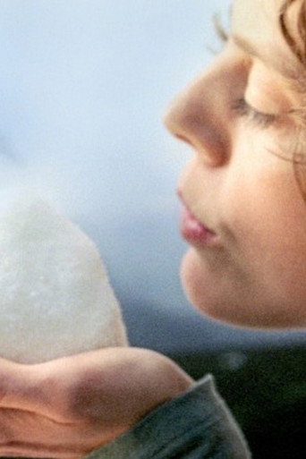 Movie poster for Sugar (2006)