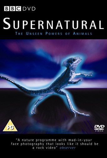 Supernatural: Unseen Power of Animals poster