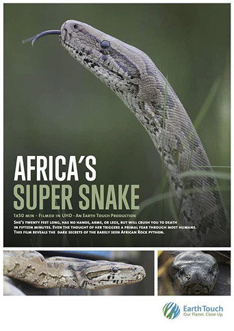 Movie poster for Africa's Super Snake (2017)
