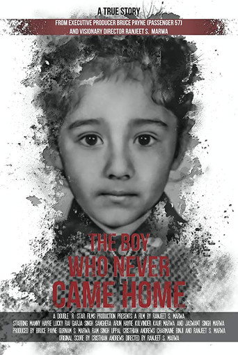 Movie poster for The Boy Who Never Came Home: A True Story (2018)