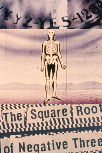 Movie poster for The Square Root of Negative Three (1991)