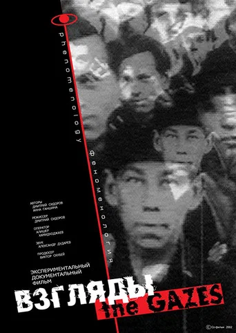 Movie poster for The Gazes – a Phenomenology (2002)