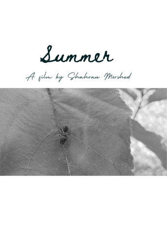 Movie poster for Summer