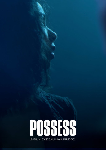 Movie poster for Possess