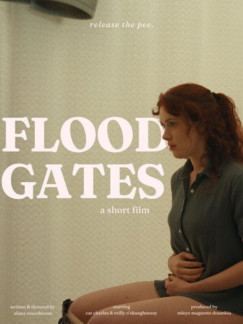 Movie poster for Floodgates (2025)