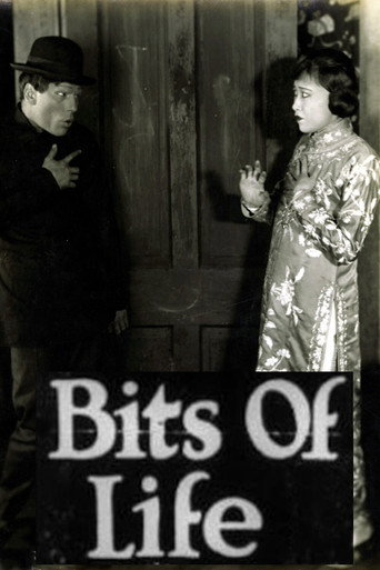 Movie poster for Bits of Life (1921)