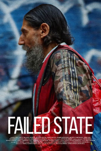 Movie poster for Failed State (2024)