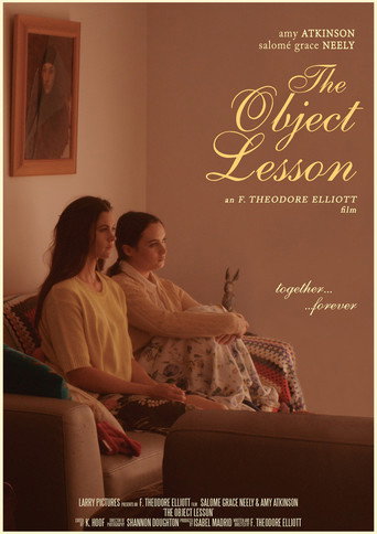 Movie poster for The Object Lesson (2018)
