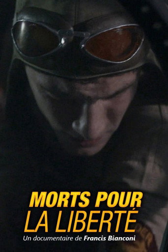 Movie poster for Morts pour la liberté : Le tragique destin du vol « C Charlie » (2016)