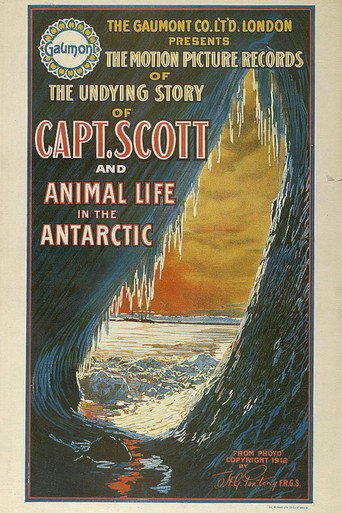 Movie poster for 90° South (1914)