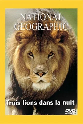 Movie poster for National Geographic : Trois lions dans la nuit (2002)