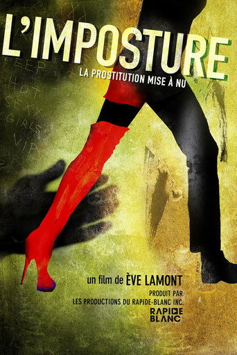 Movie poster for The Fallacy (2010)