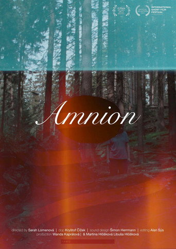 Movie poster for Amnion (2025)