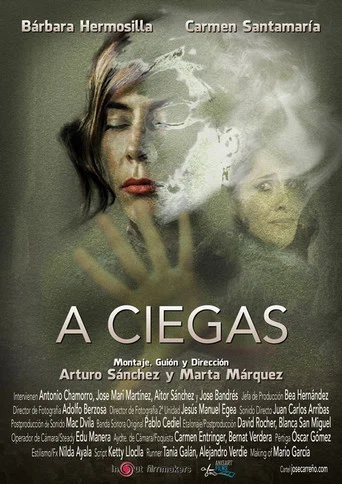 Movie poster for A ciegas (2016)
