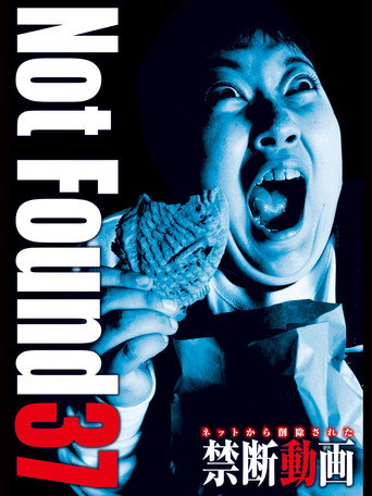 Movie poster for Not Found 37 (2018)