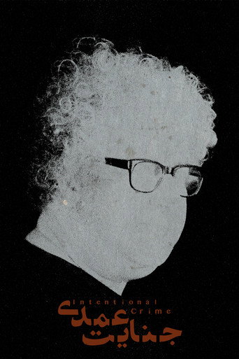 Movie poster for Intentional Crime (2022)