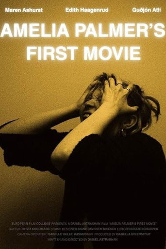 Movie poster for Amelia Palmer's First Movie (2025)