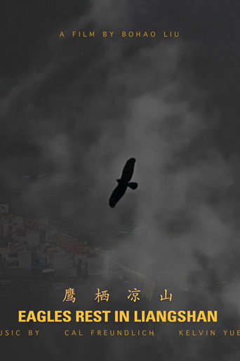 Movie poster for Eagles Rest in Liangshan (2021)