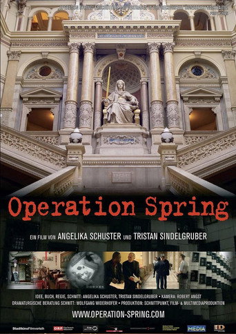 Movie poster for Operation Spring (2005)