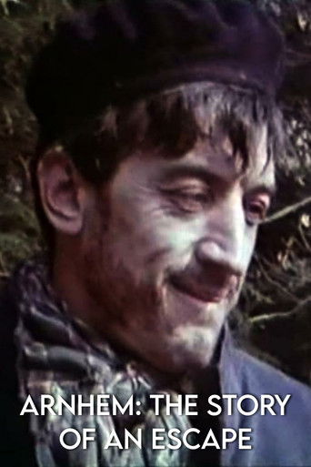 Arnhem: The Story of an Escape poster