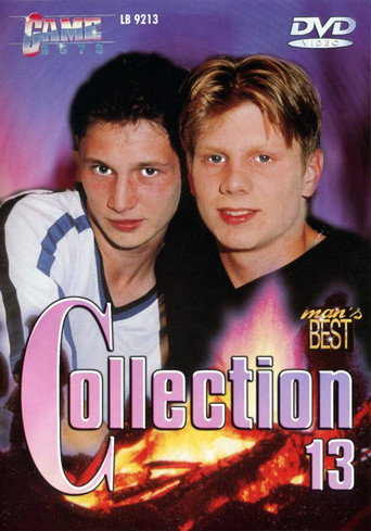 Movie poster for Game Boys Collection 13