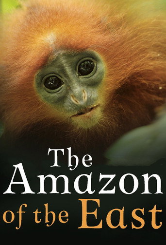 Series poster for The Amazon of the East (2017)